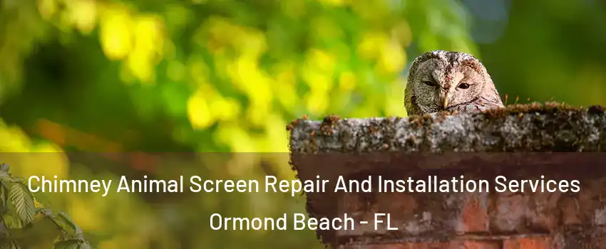  Chimney Animal Screen Repair And Installation Services Ormond Beach - FL