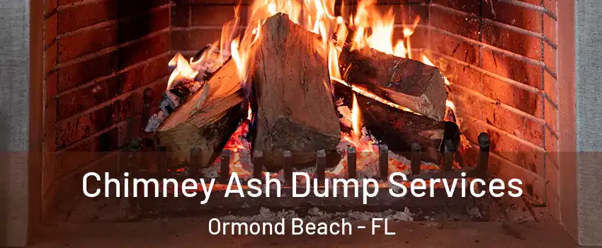  Chimney Ash Dump Services Ormond Beach - FL