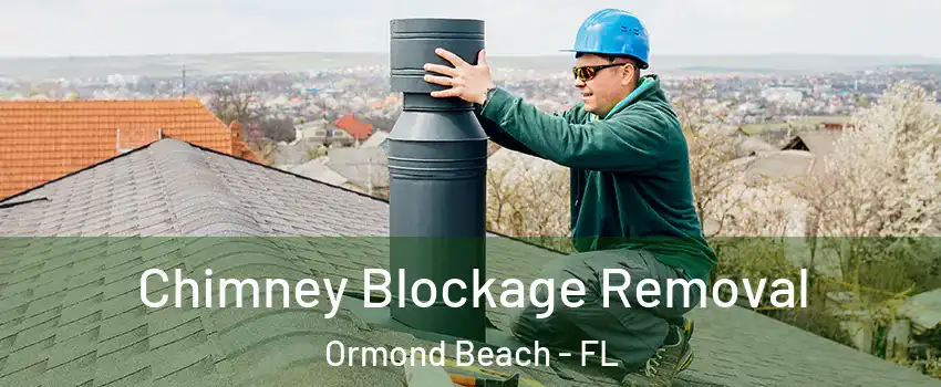  Chimney Blockage Removal Ormond Beach - FL