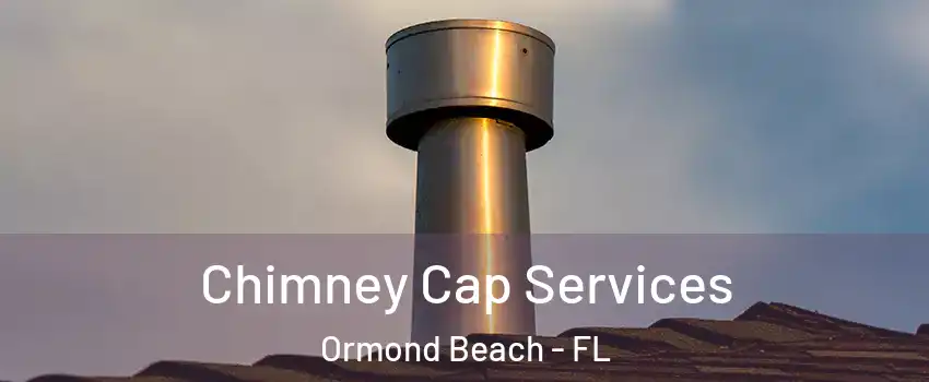  Chimney Cap Services Ormond Beach - FL