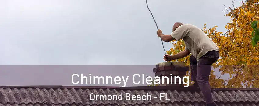  Chimney Cleaning Ormond Beach - FL