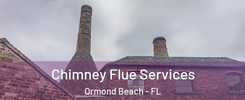  Chimney Flue Services Ormond Beach - FL