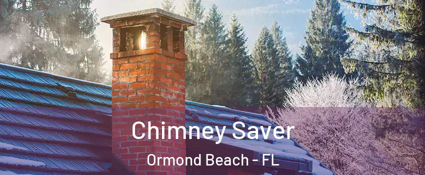  Chimney Saver Ormond Beach - FL