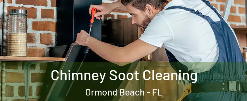  Chimney Soot Cleaning Ormond Beach - FL