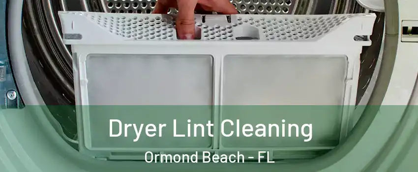  Dryer Lint Cleaning Ormond Beach - FL