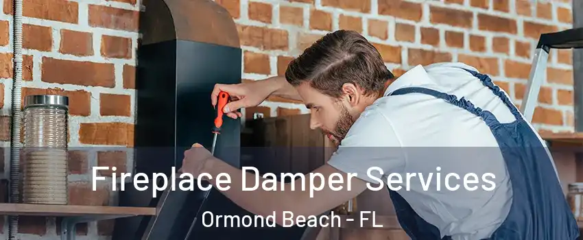  Fireplace Damper Services Ormond Beach - FL