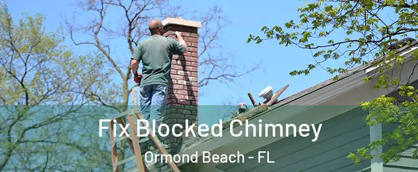  Fix Blocked Chimney Ormond Beach - FL