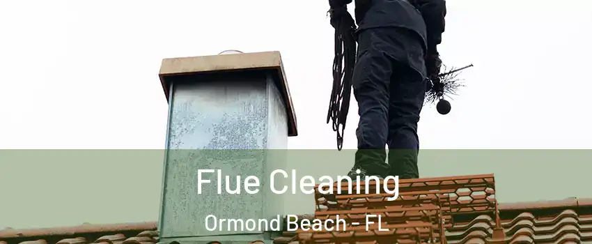  Flue Cleaning Ormond Beach - FL