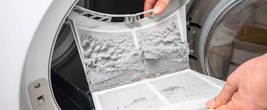 Best Dryer Lint Removal Company in Ormond Beach, Florida