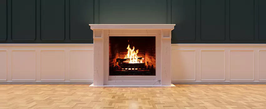 Napoleon Electric Fireplaces Inspection Service in Ormond Beach, Florida