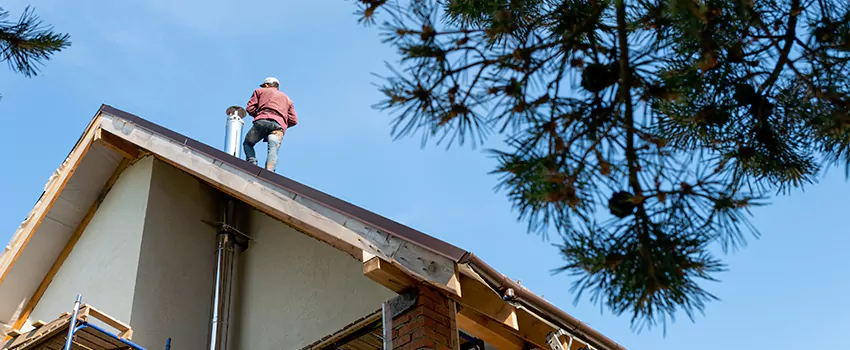 Birds Removal Contractors from Chimney in Ormond Beach, FL