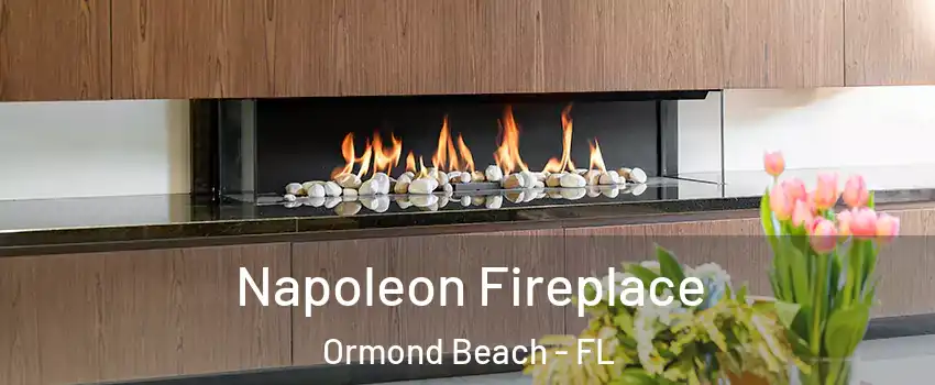  Napoleon Fireplace Ormond Beach - FL